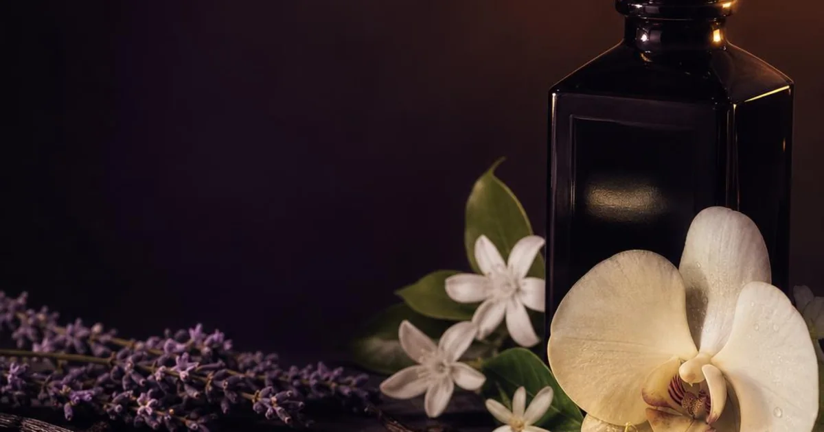 Dark roasted coffee beans, vanilla orchid, jasmine, and glossy black glass in dramatic evening light.