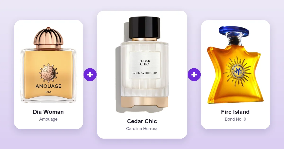 Carolina Herrera Cedar Chic bottle shown between Amouage Dia Woman and Bond No. 9 Fire Island, two of its best layering matches.